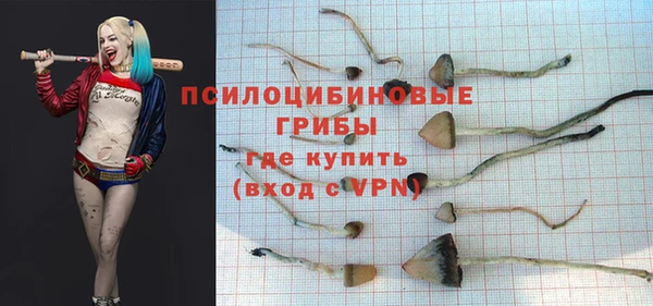 МДПВ Белокуриха
