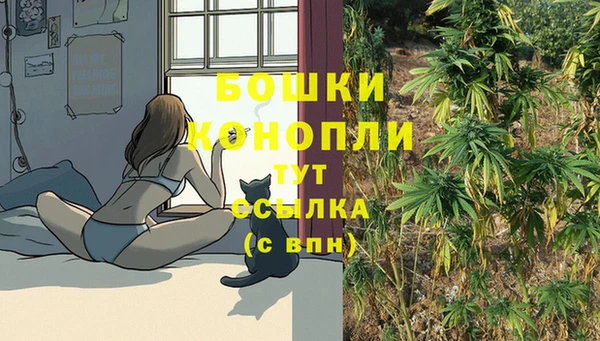 2c-b Беломорск
