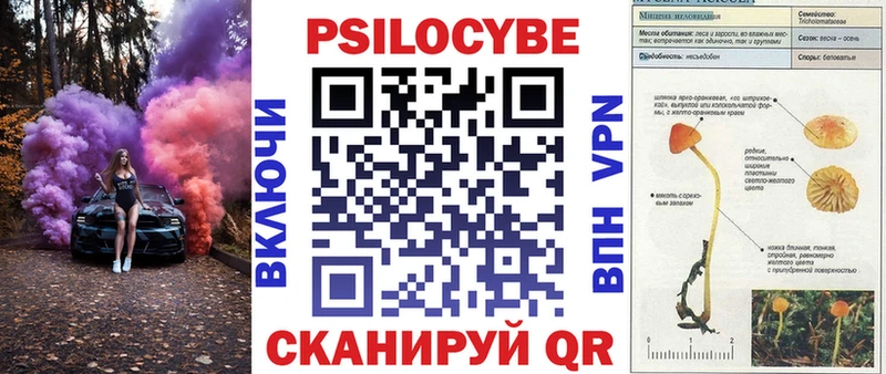 Псилоцибиновые грибы MAGIC MUSHROOMS  дарнет шоп  Озёрск 