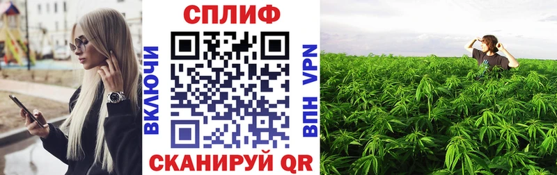 Бошки Шишки индика MEGA tor Озёрск даркнет сайт